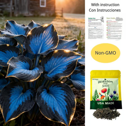 🔥Last day clearance🔥Premium Rare Hosta Seeds🌿Shade-Tolerant Plant